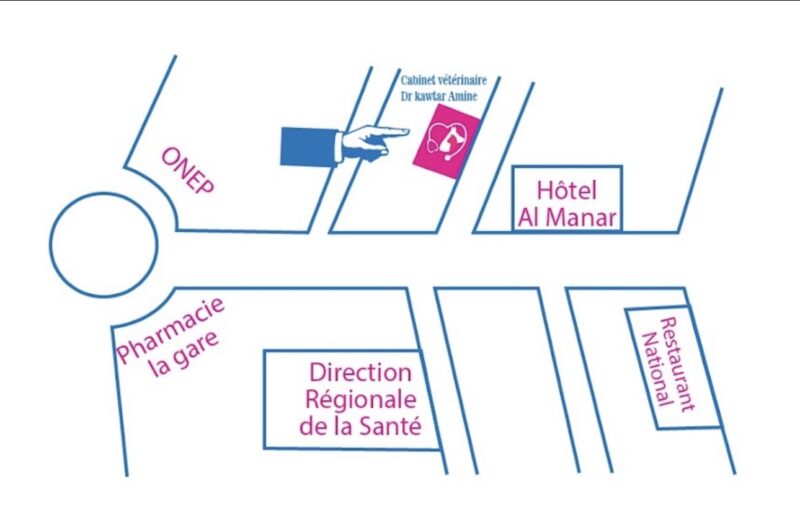 Vétérinaire