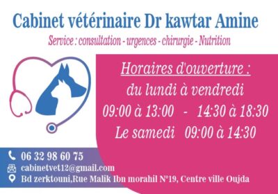 Vétérinaire