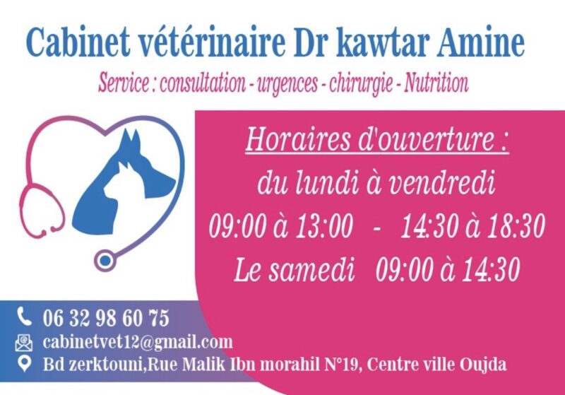 Vétérinaire